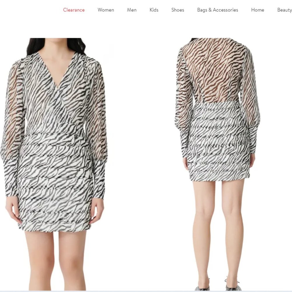 Ribane Zebra Print Long Sleeve Minidress